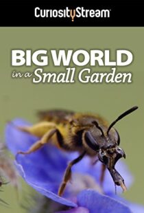 دانلود مستند Big World in a Small Garden 2016102965-1988442066