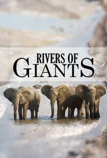 دانلود مستند Rivers of Giants 2005102245-1861248618