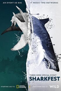 دانلود مستند Man vs. Shark 2019104475-652084596