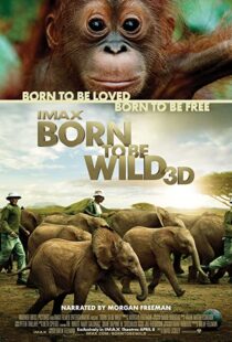 دانلود مستند Born to Be Wild 2011110503-940142748