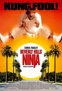 دانلود فیلم Beverly Hills Ninja 1997111541-1386478709