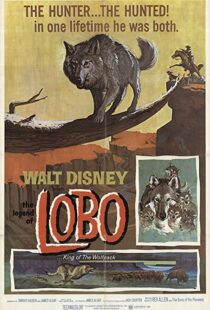 دانلود فیلم The Legend of Lobo 1962111441-1533333798