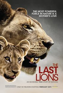دانلود مستند The Last Lions 2011195626-1515334562