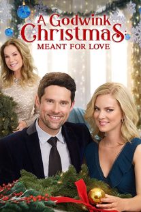 دانلود فیلم A Godwink Christmas: Meant for Love 201931842-1861229289