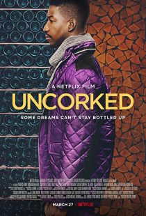 دانلود فیلم Uncorked 202036731-430551244