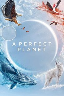 دانلود مستند A Perfect Planet231098-495530486