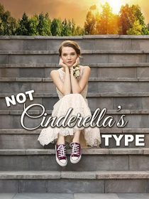 دانلود فیلم Not Cinderella’s Type 2018254350-600679374