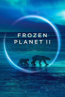 دانلود مستند Frozen Planet II268784-413627346