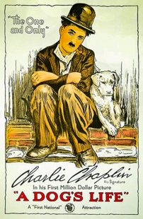 دانلود فیلم A Dog’s Life 1918270674-922252921