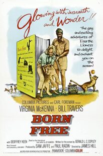 دانلود فیلم Born Free 1966323518-1246875439