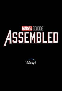 دانلود سریال Marvel Studios: Assembled100150-1102600325