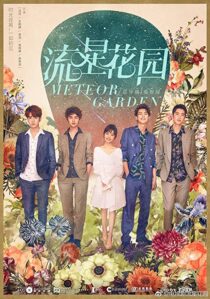 دانلود سریال Meteor Garden333005-644050485