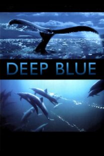 دانلود فیلم Deep Blue 2003333037-1598708160