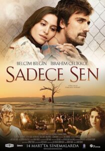 دانلود فیلم Only You 2014369345-1598163708