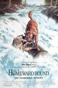 دانلود فیلم Homeward Bound: The Incredible Journey 1993371118-166043111
