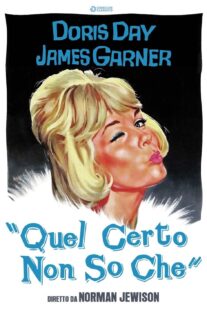 دانلود فیلم The Thrill of It All 1963376215-473727185