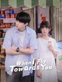 دانلود سریال چینی When I Fly Towards You375030-1102040893