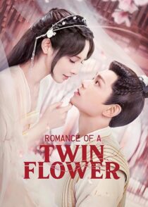 دانلود سریال Romance of a Twin Flower379211-1306639947