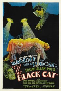 دانلود فیلم The Black Cat 1934378235-1598040616