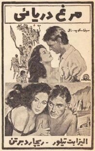 دانلود فیلم The Sandpiper 1965381611-1936735508