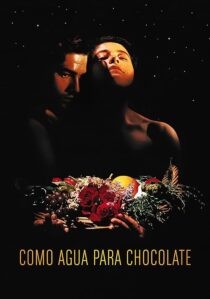 دانلود فیلم Like Water for Chocolate 1992387861-1571989943