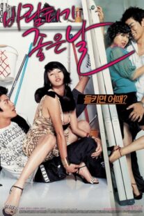 دانلود فیلم کره‌ای A Good Day to Have an Affair 2007384531-1015983427