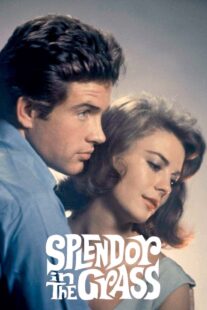 دانلود فیلم Splendor in the Grass 1961382554-403917724