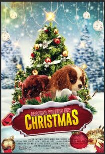 دانلود فیلم Project: Puppies for Christmas 2019390454-1691076550