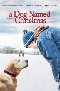 دانلود فیلم A Dog Named Christmas 2009389298-1165931069