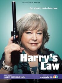 دانلود سریال Harry’s Law393952-1570055834
