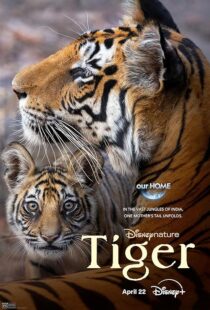 دانلود مستند Tiger 2024396409-1578872860