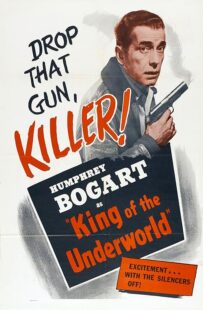 دانلود فیلم King of the Underworld 1939399475-1356474881