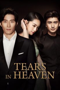 دانلود سریال Tears in Heaven398517-313535158