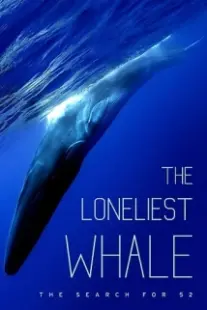 دانلود فیلم The Loneliest Whale: The Search for 52 2021403098-1661966847