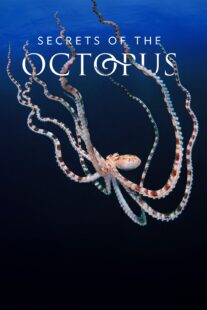 دانلود سریال Secrets of the Octopus401286-1841703342