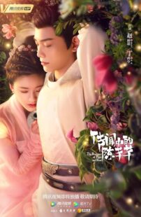 دانلود سریال The Romance of Tiger and Rose402001-1178628579