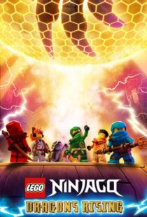 دانلود انیمیشن Ninjago: Dragons Rising402689-1801803484