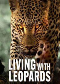 دانلود مستند Living with Leopards 2024400477-1415279472