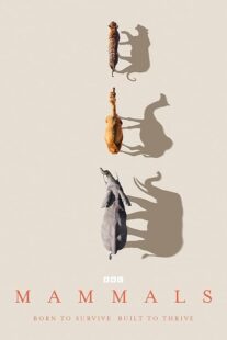 دانلود سریال Mammals404460-281726121