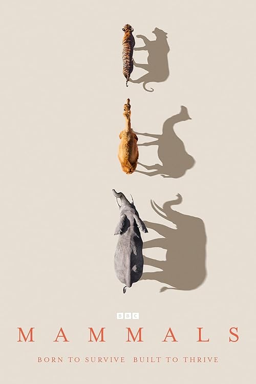 دانلود سریال Mammals