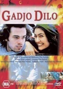 دانلود فیلم The Crazy Stranger 1997407241-880638042