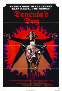 دانلود فیلم Dracula’s Dog 1977407625-452368575