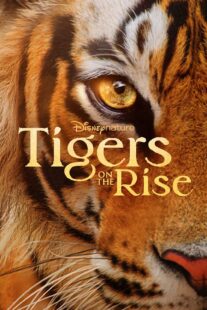 دانلود مستند Tigers on the Rise 2024407068-1638903455