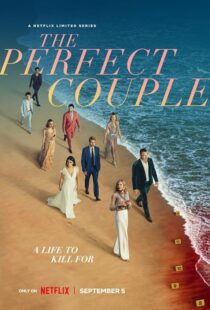 دانلود سریال The Perfect Couple409138-1915151132