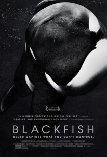 دانلود فیلم Blackfish 2013412328-71908481