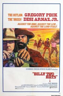 دانلود فیلم Billy Two Hats 1974411057-884048693