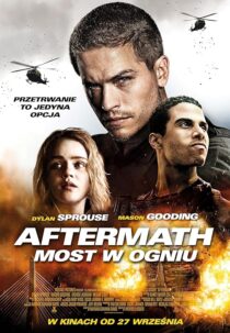 دانلود فیلم Aftermath 2024414352-458324192