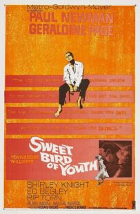 دانلود فیلم Sweet Bird of Youth 1962415738-940774817