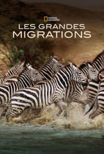 دانلود مستند Great Migrations417146-1128902385