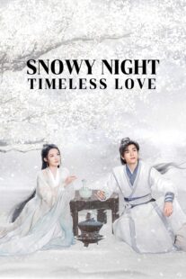 دانلود سریال Snowy Night Timeless Love417168-1269921517